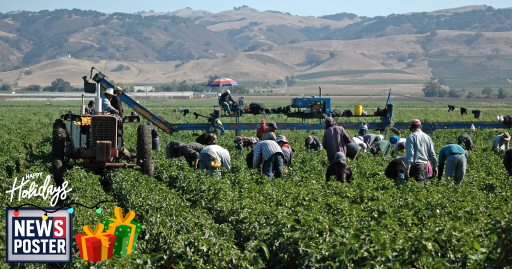 News - 2025-12-04T193318.101