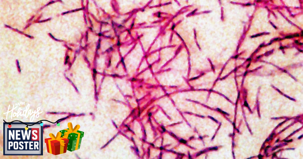 News - 2025-12-06T080346.011