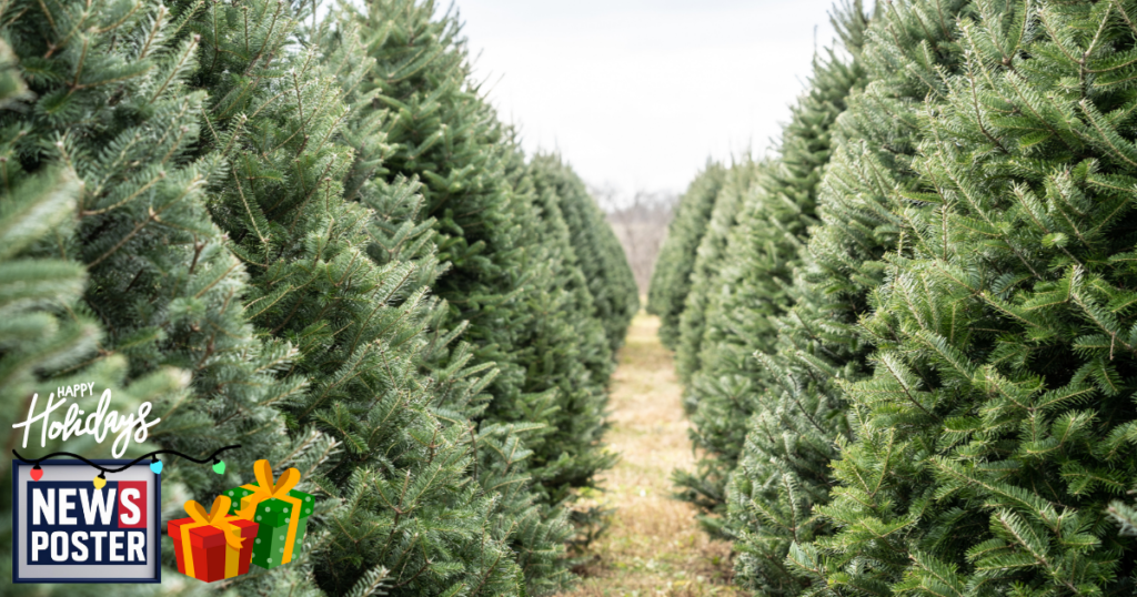 News - 2025-12-07T103959.005