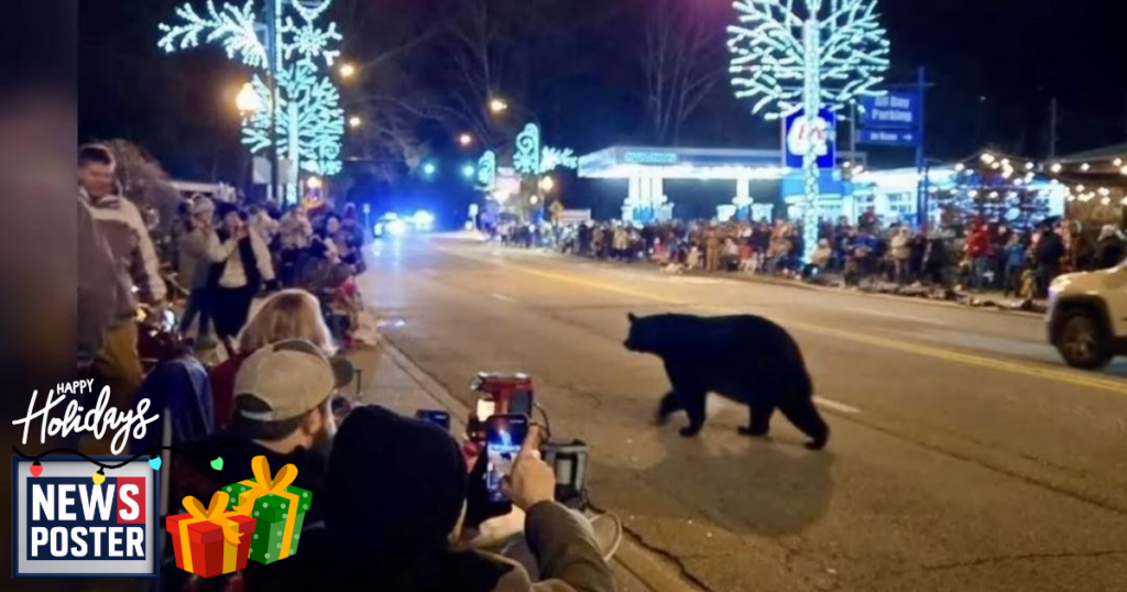 News - 2025-12-08T172229.074