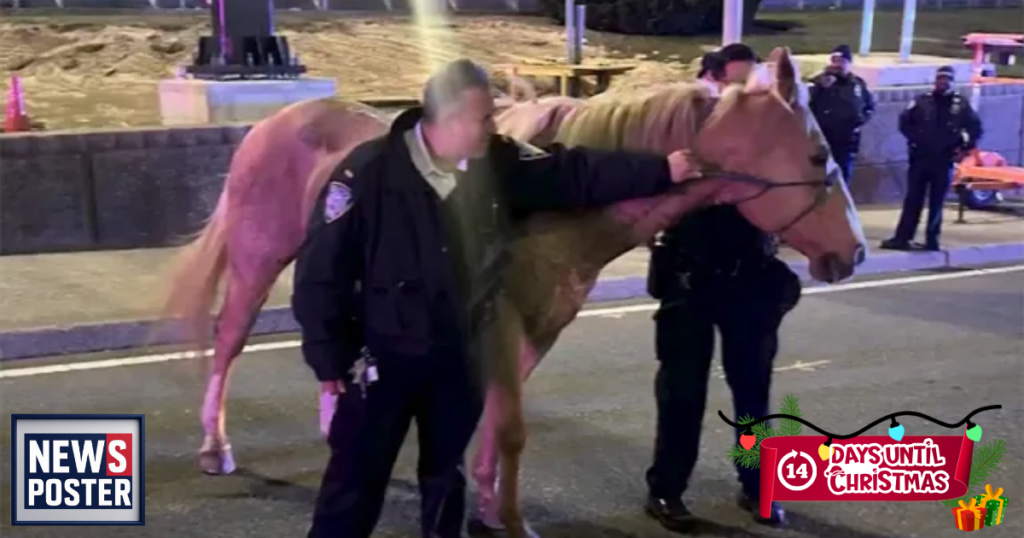 News - 2025-12-11T122240.826