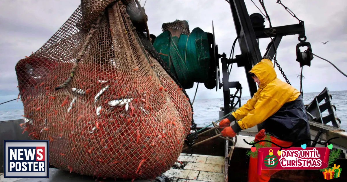 News - 2025-12-12T051344.850