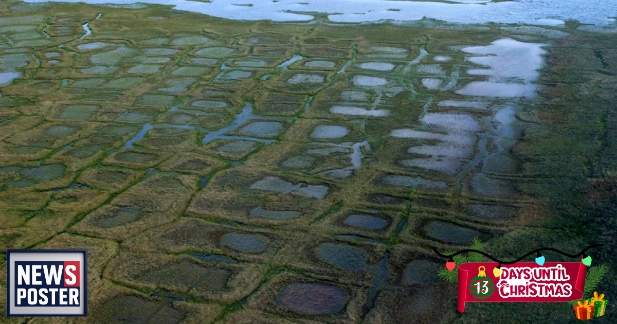 News - 2025-12-12T061310.661