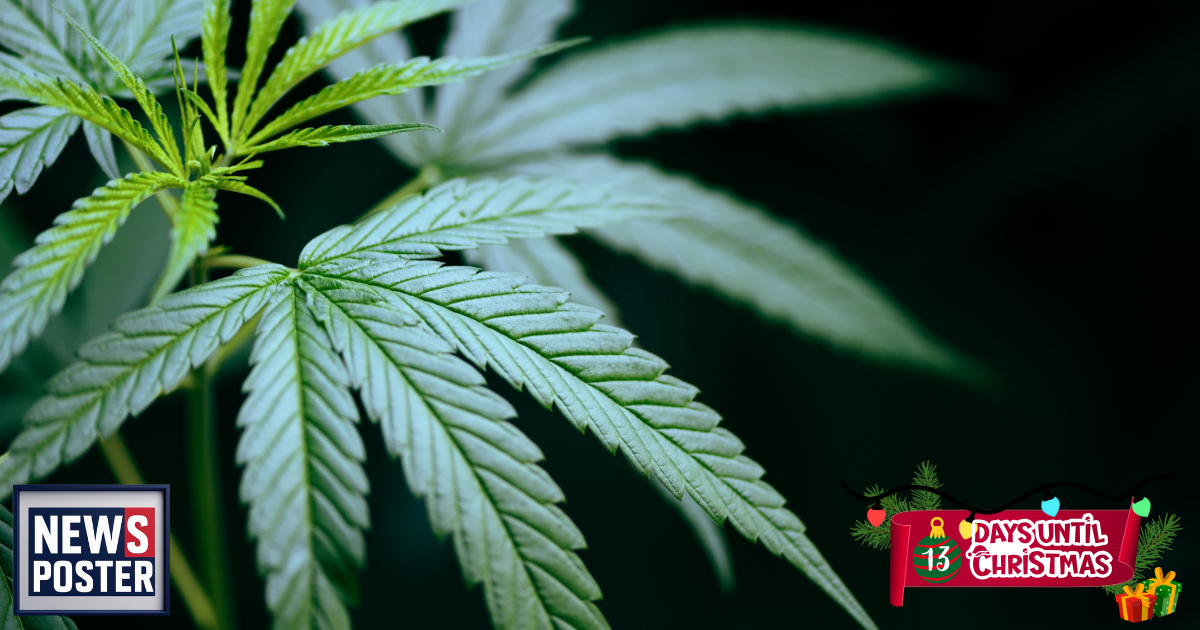 News - 2025-12-12T072942.645