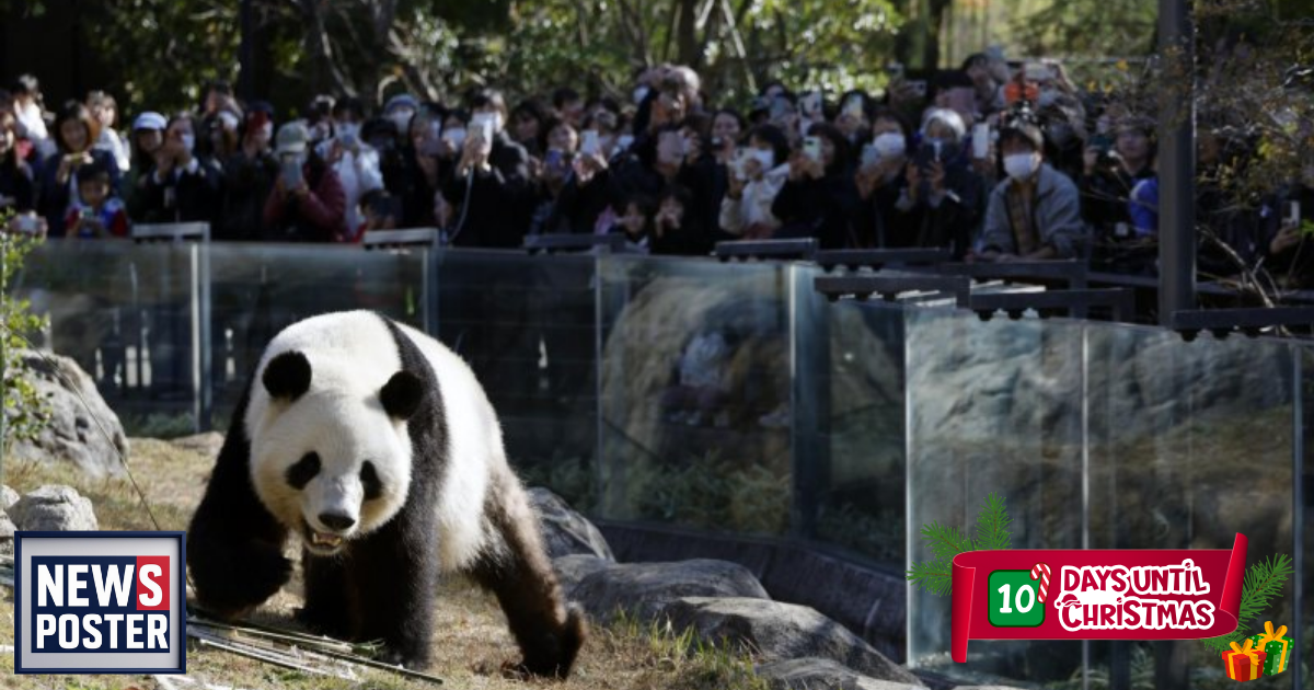 News - 2025-12-15T095355.179