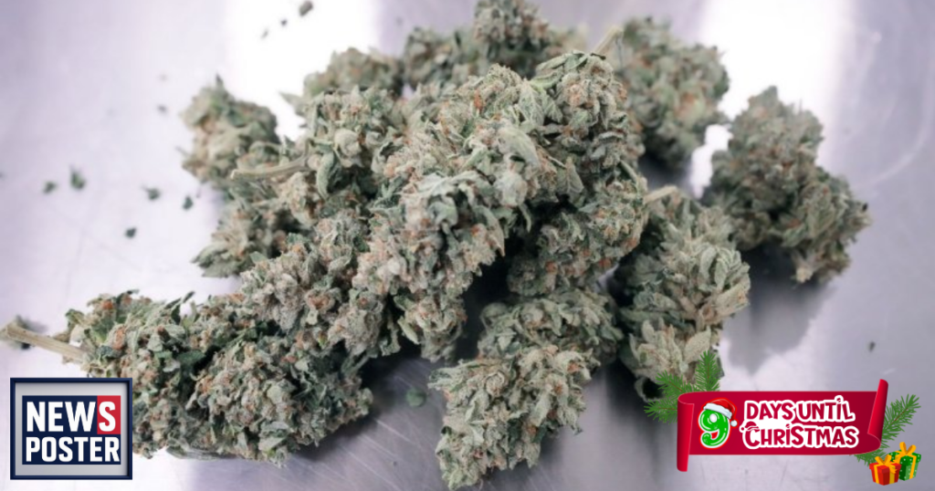 News - 2025-12-16T102321.353