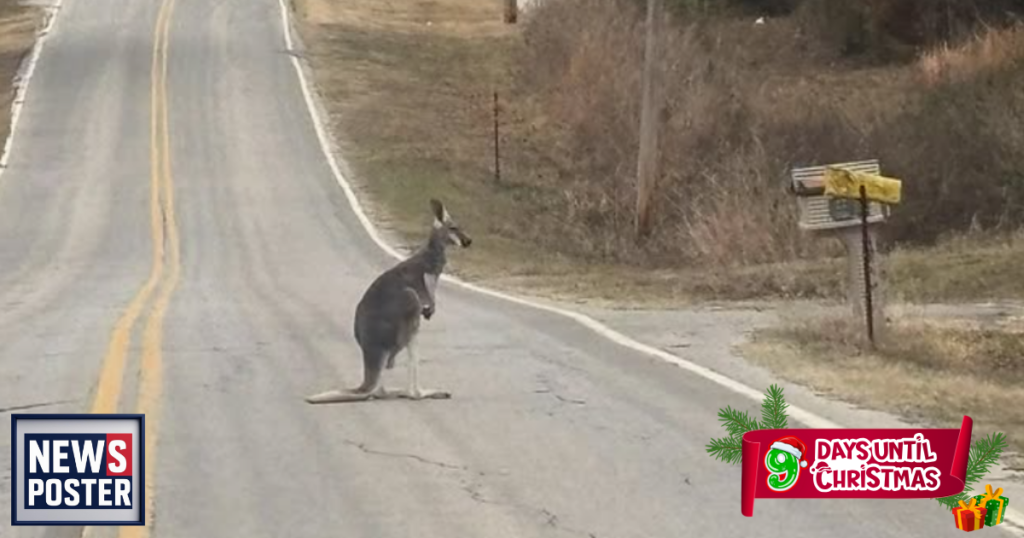 News - 2025-12-16T110418.079