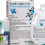 FDA approves Merck drug to protect US cattle herds from screwworm