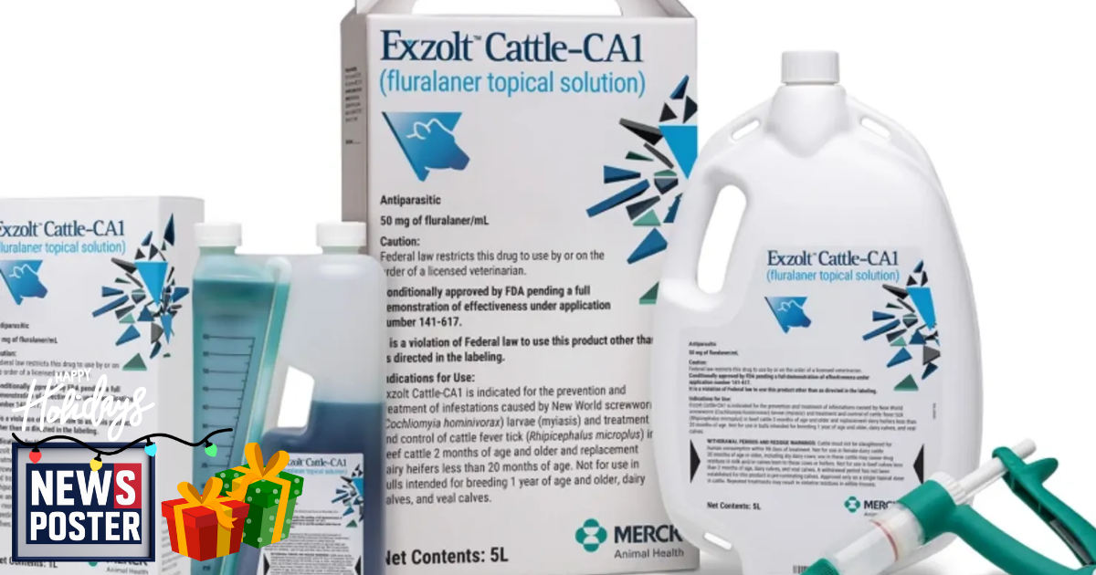 FDA approves Merck drug to protect US cattle herds from screwworm